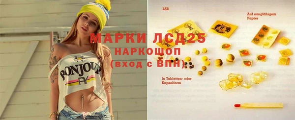 трава Медвежьегорск
