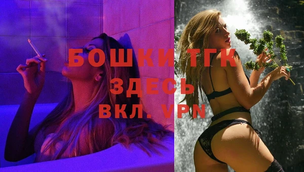 ГАЛЛЮЦИНОГЕННЫЕ ГРИБЫ Медногорск